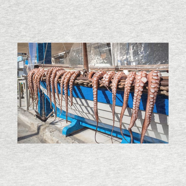 Octopus tentacles drying. by sma1050